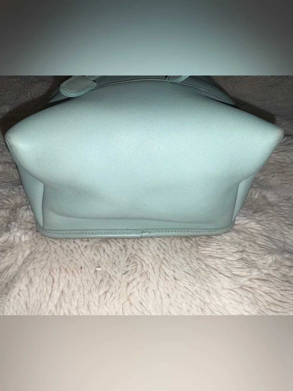 VTG (rare light green) PRISTINE COACH SMALL LEATHER DAYPACK